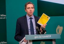 Irlanda estatiza temporalmente hospitales para contener el coronavirus