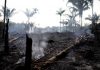 De la economía del socialismo a la planificación ecológica
