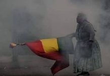 Declaración de Las Rojas Internacional ante los aberrantes dichos de Rita Segato