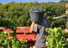 La precarización laboral en el trabajo agrícola en Francia y España