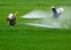 La contaminación por glifosato desborda los ríos españoles