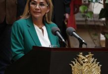 Bolivia: Añez habilita el uso de transgénicos con la excusa de la pandemia
