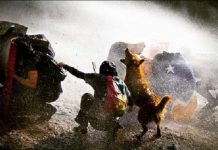 Chile: Entre la rebelión, la maniobra constitucional y el refuerzo represivo