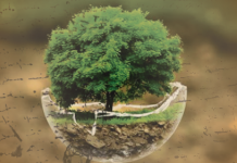 4. La dialéctica de la naturaleza