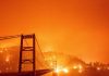 EE UU: avanzan implacables los incendios forestales