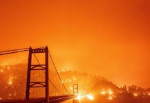 EE UU: avanzan implacables los incendios forestales