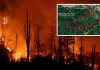 EEUU: La proliferación de incendios en la costa oeste