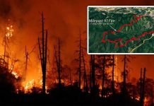EEUU: La proliferación de incendios en la costa oeste