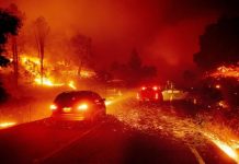 Incendios forestales en Estados Unidos: 35 muertos y decenas de desaparecidos