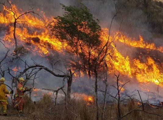 Argentina | Incendios en la Patagonia: «todo fuego es político»